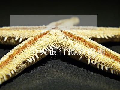 中央银行债务逾期 中央银行债务逾期