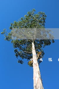 中央银行逾期贷款利率 中央银行逾期贷款利率