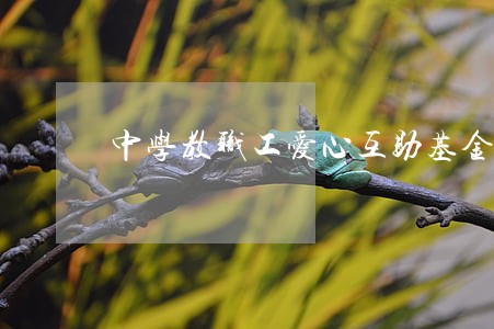 中学教职工爱心互助基金条例下载 中学教职工爱心互助基金条例下载