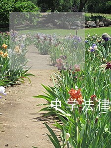 中学法律顾问协议 中学法律顾问协议