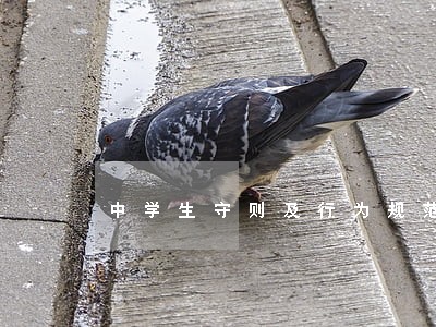 中学生守则及行为规范图片图片 中学生守则及行为规范图片图片