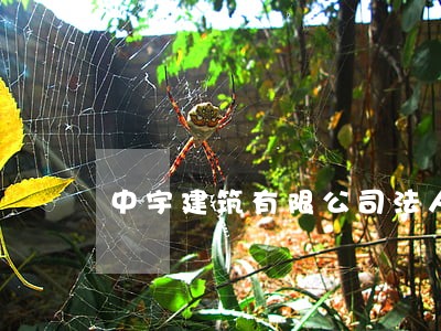 中宇建筑有限公司法人