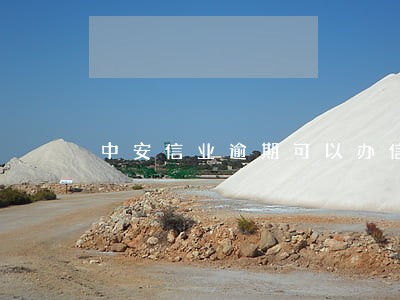 中安信业逾期可以办信用卡