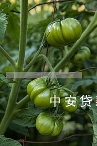 中安贷款逾期3天会怎么样 中安贷款逾期3天会怎么样