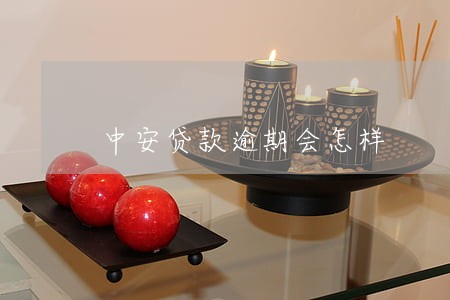 中安贷款逾期会怎样 中安贷款逾期会怎样