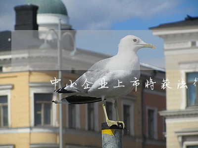 中小企业上市将获法律支持 中小企业上市将获法律支持