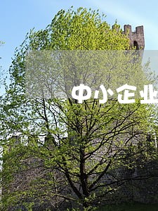 中小企业法律顾问咨询 中小企业法律顾问咨询