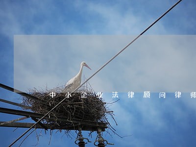 中小企业法律顾问律师委托 中小企业法律顾问律师委托