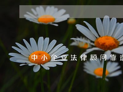 中小企业法律顾问靠谱 中小企业法律顾问靠谱