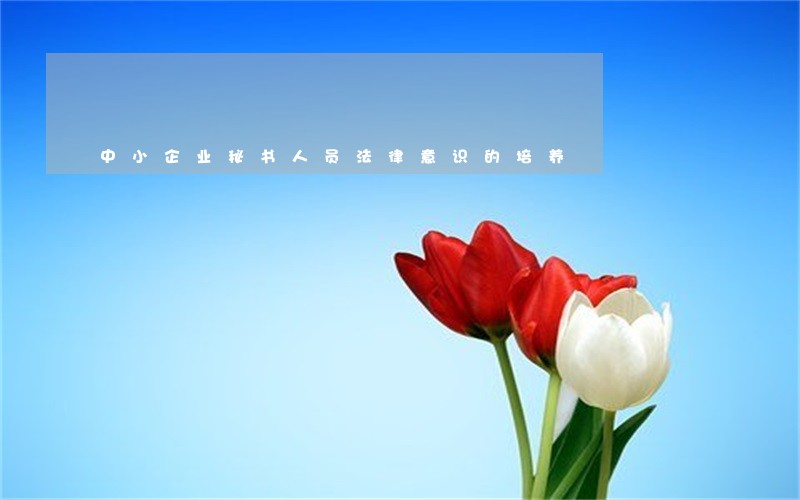 中小企业秘书人员法律意识的培养 中小企业秘书人员法律意识的培养