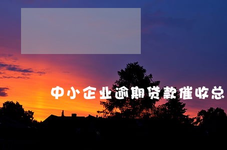 中小企业逾期贷款催收总结 中小企业逾期贷款催收总结