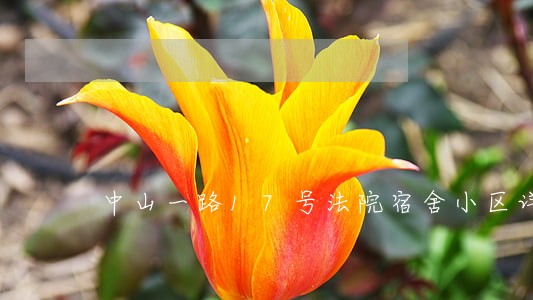 中山一路17号法院宿舍小区详情 中山一路17号法院宿舍小区详情