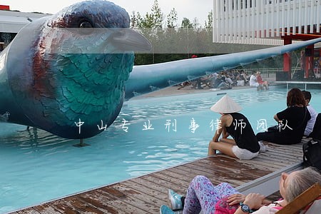 中山专业刑事律师团队 中山专业刑事律师团队