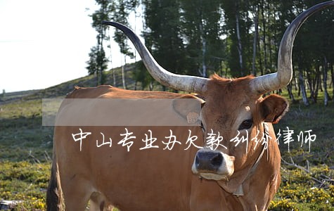 中山专业办欠款纠纷律师 中山专业办欠款纠纷律师