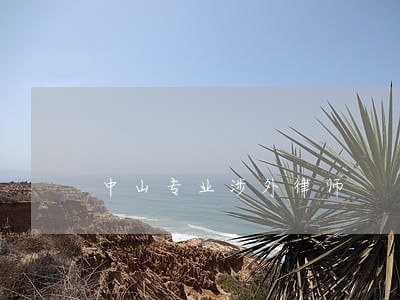 中山专业涉外律师 中山专业涉外律师