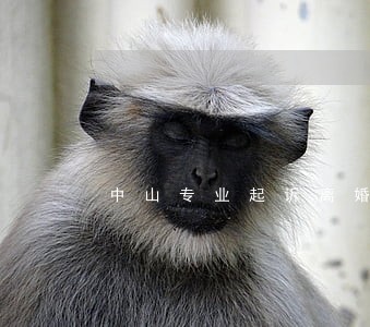 中山专业起诉离婚律师哪个效率高 中山专业起诉离婚律师哪个效率高