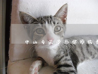 中山专注涉外律师收费标准 中山专注涉外律师收费标准