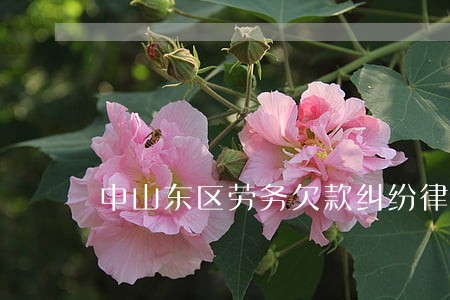中山东区劳务欠款纠纷律师价格 中山东区劳务欠款纠纷律师价格