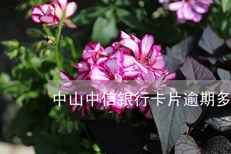 中山中信银行卡片逾期多久上征信 中山中信银行卡片逾期多久上征信