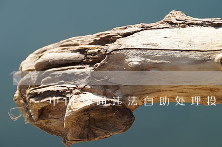 中山交通违法自助处理投放地点 中山交通违法自助处理投放地点
