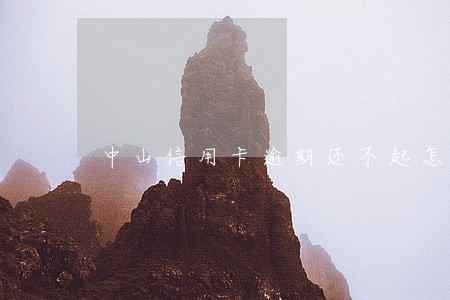 中山信用卡逾期还不起怎么办