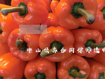 中山债务合同律师选哪个 中山债务合同律师选哪个