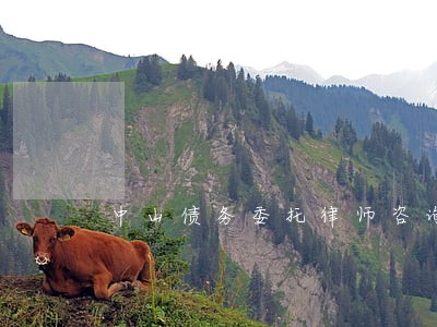 中山债务委托律师咨询 中山债务委托律师咨询