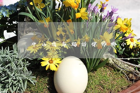 中山债务起诉律师哪个好 中山债务起诉律师哪个好