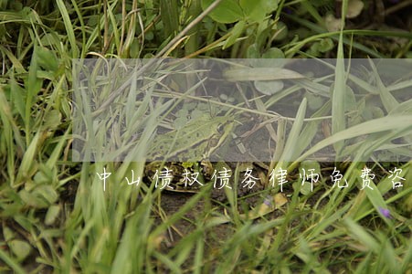 中山债权债务律师免费咨询 中山债权债务律师免费咨询
