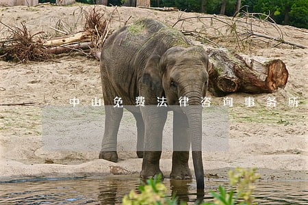 中山免费法律咨询事务所 中山免费法律咨询事务所