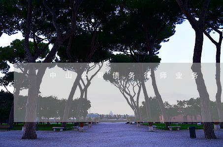 中山公司债务律师业务 中山公司债务律师业务
