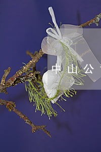 中山公司债务律师多少钱 中山公司债务律师多少钱