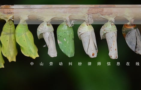 中山劳动纠纷律师信息在线查询 中山劳动纠纷律师信息在线查询