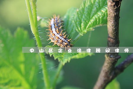 中山区企业法律顾问律师