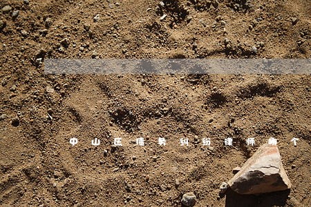 中山区债务纠纷律师哪个好 中山区债务纠纷律师哪个好