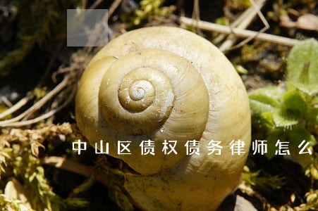 中山区债权债务律师怎么收费