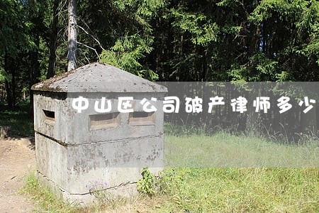 中山区公司破产律师多少钱 中山区公司破产律师多少钱