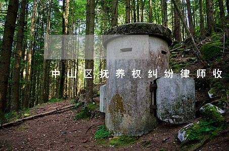 中山区抚养权纠纷律师收费
