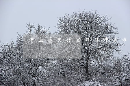 中山区欠债案件律师选谁 中山区欠债案件律师选谁