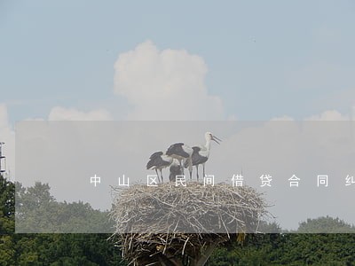 中山区民间借贷合同纠纷律师