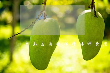 中山区离婚律师律师费用 中山区离婚律师律师费用