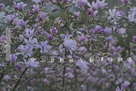 中山区股权分割律师联系方式