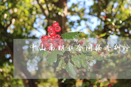 中山南朗镇合同经济纠纷律师 中山南朗镇合同经济纠纷律师