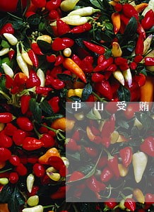 中山受贿罪律师咨询电话 中山受贿罪律师咨询电话