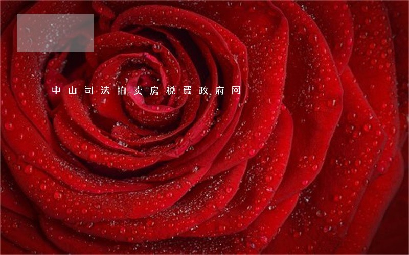 中山司法拍卖房税费政府网