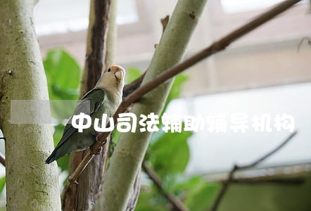 中山司法辅助辅导机构 中山司法辅助辅导机构