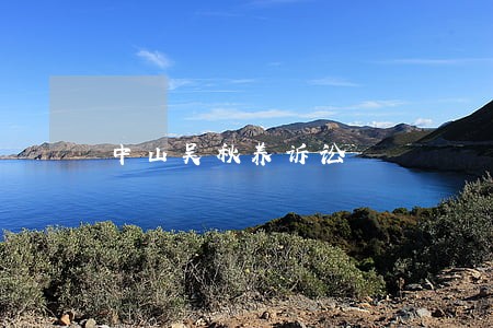 中山吴秋养诉讼 中山吴秋养诉讼