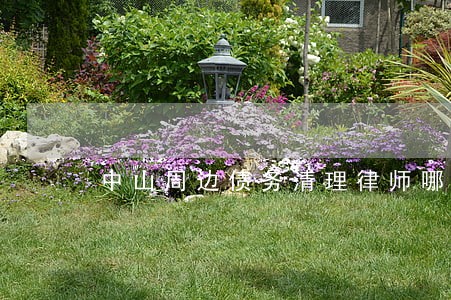 中山周边债务清理律师哪个好 中山周边债务清理律师哪个好