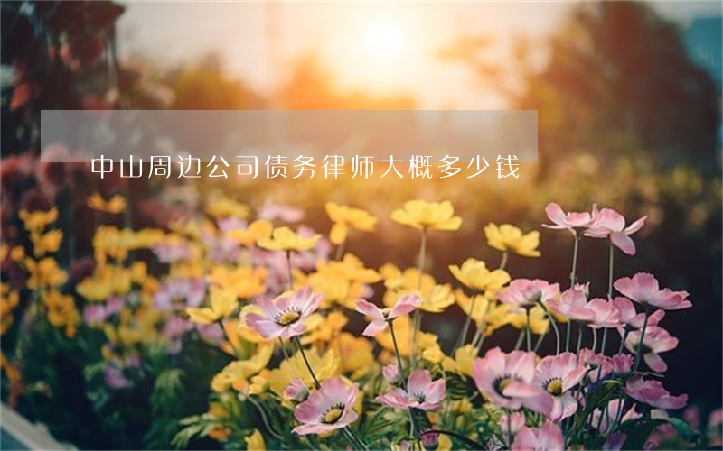 中山周边公司债务律师大概多少钱 中山周边公司债务律师大概多少钱