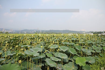 中山周边公司债务律师推荐